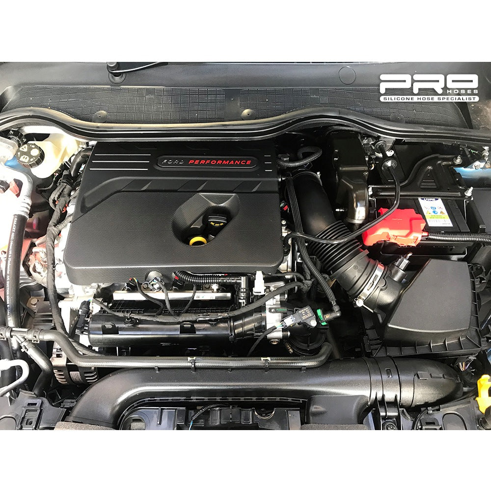 Pro Hoses Induction Hose Upgrade for Fiesta Mk8 ST200 Image 6
