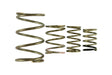 Turbosmart Turbosmart GenV WG38/40 Spring Replacement Kit | FD Racing 