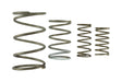 Turbosmart Turbosmart GenV WG60 Spring Replacement Kit | FD Racing UK