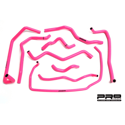 Pro Hoses Ancillary Hose Kit for Focus ST170 Image 1