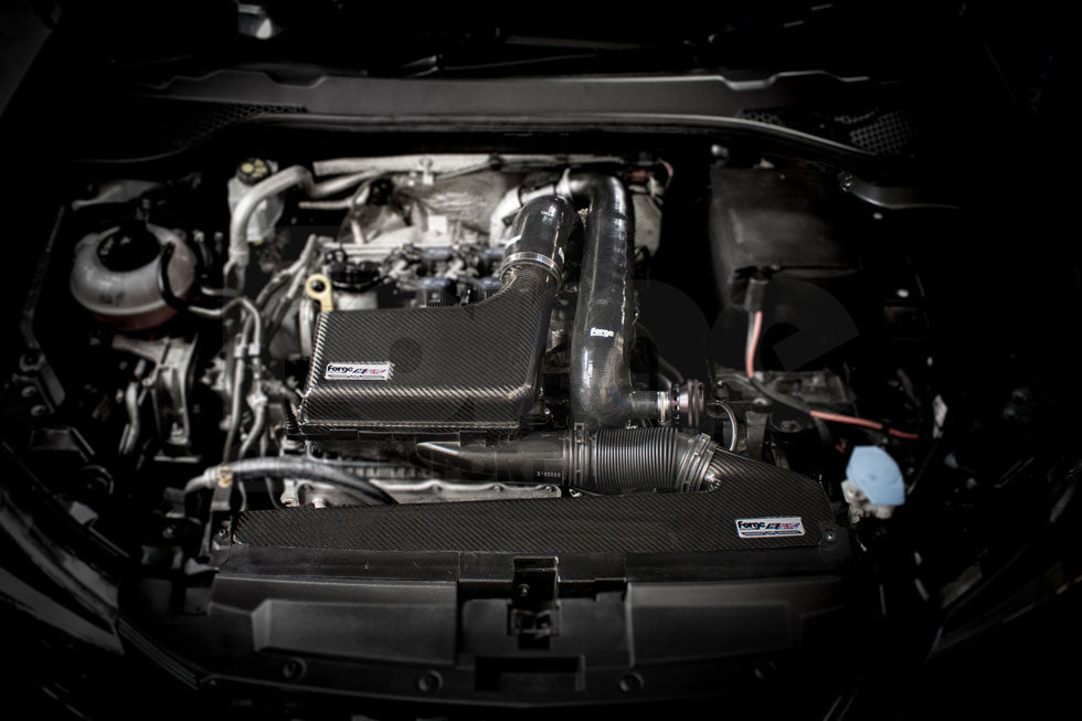 Forge Motorsport High Flow Carbon Intake for Volkswagen Tiguan Mk2 AD/BW 1.4 150BHP (FMINDK14) - photo 11