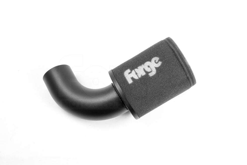 Forge Motorsport FMINDMK6 Replacement Filter (FMINDMK6RF) - photo 3